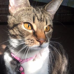 Meet your Posher, Janet